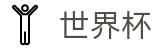 FIFA 2026世界杯_网页版入口 · 线上买球软件下载站